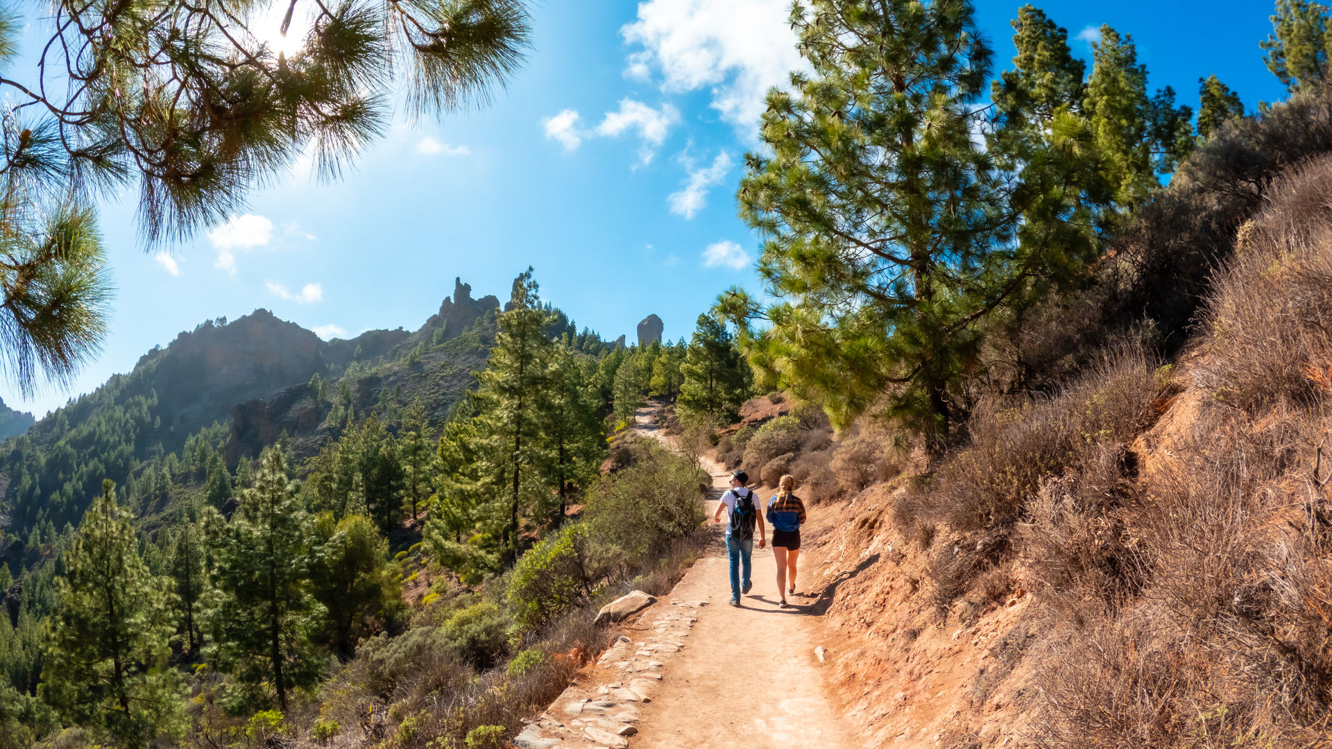 Roque Nublo