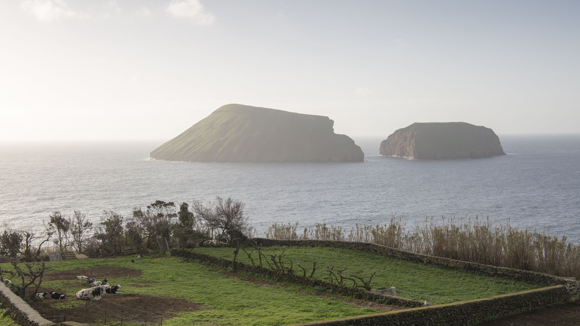 Ilhéus das Cabras, Ilha Terceira