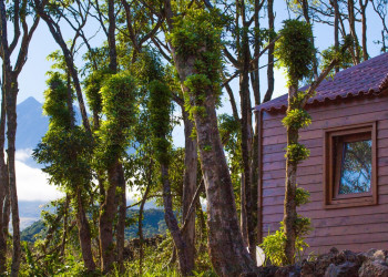 The Azores | Rustic Nature Retreat The Azores | Rustic Nature Retreat