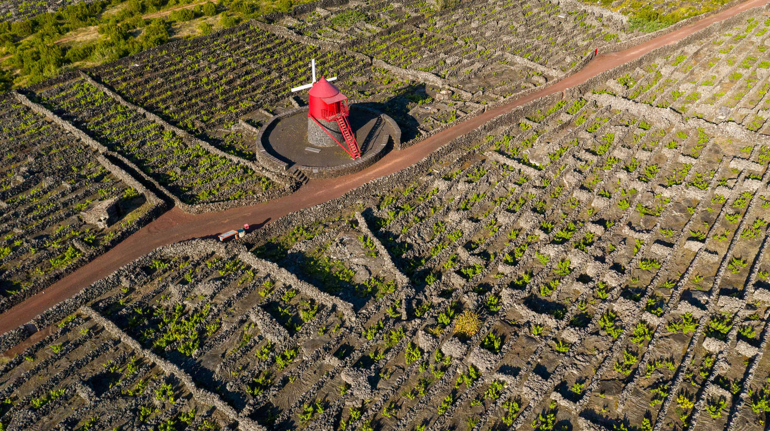 <b>Direct Flight from Terceira to Pico (approx. 35 minutes)</b>