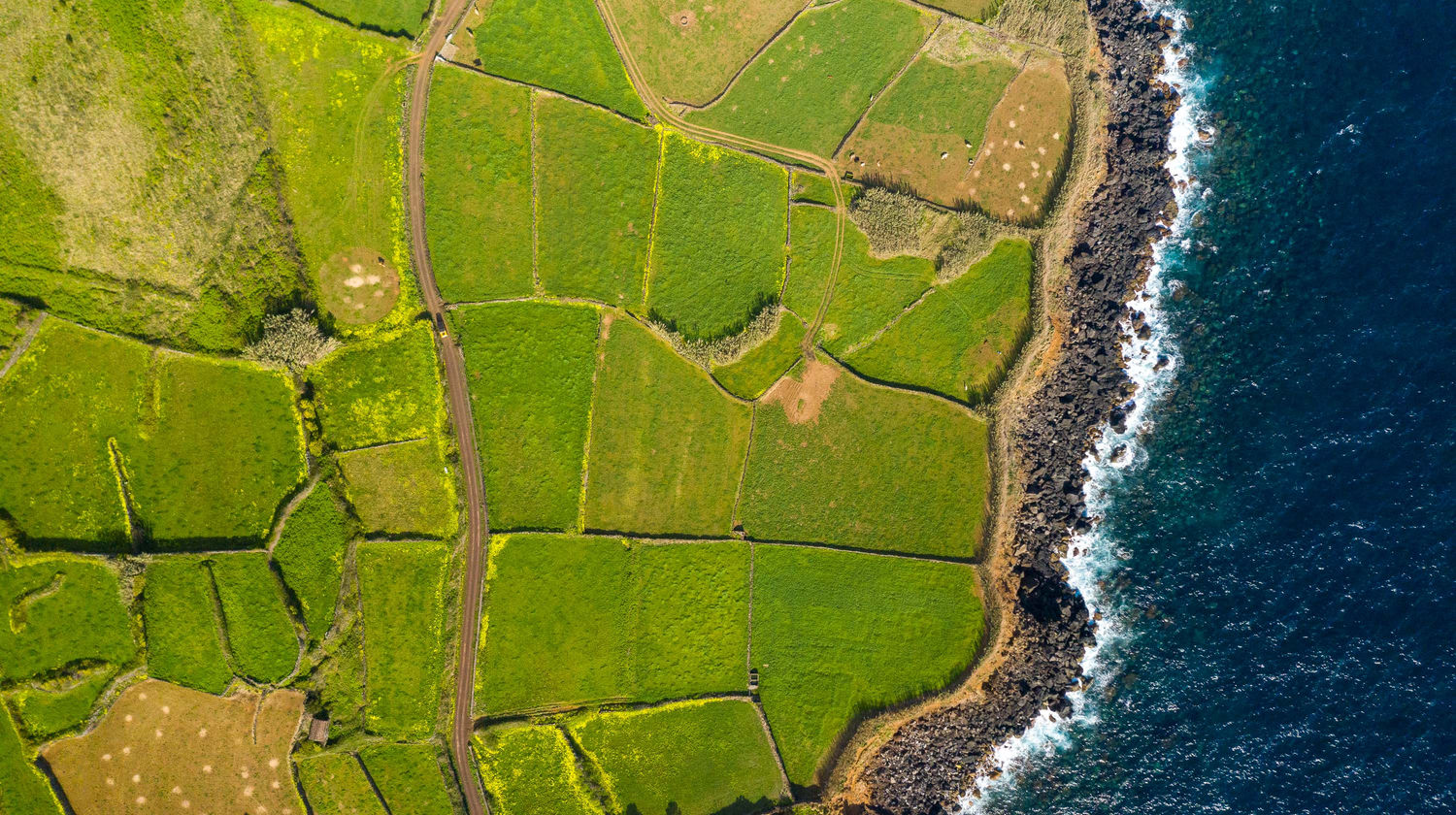 Ponta da Queimada, Pico Island