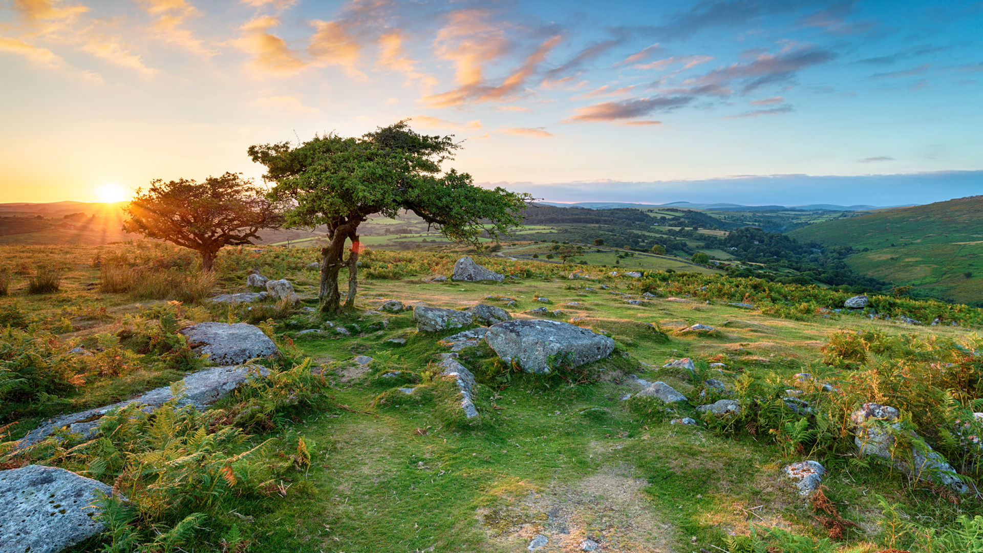 Dartmoor National Park (optional)