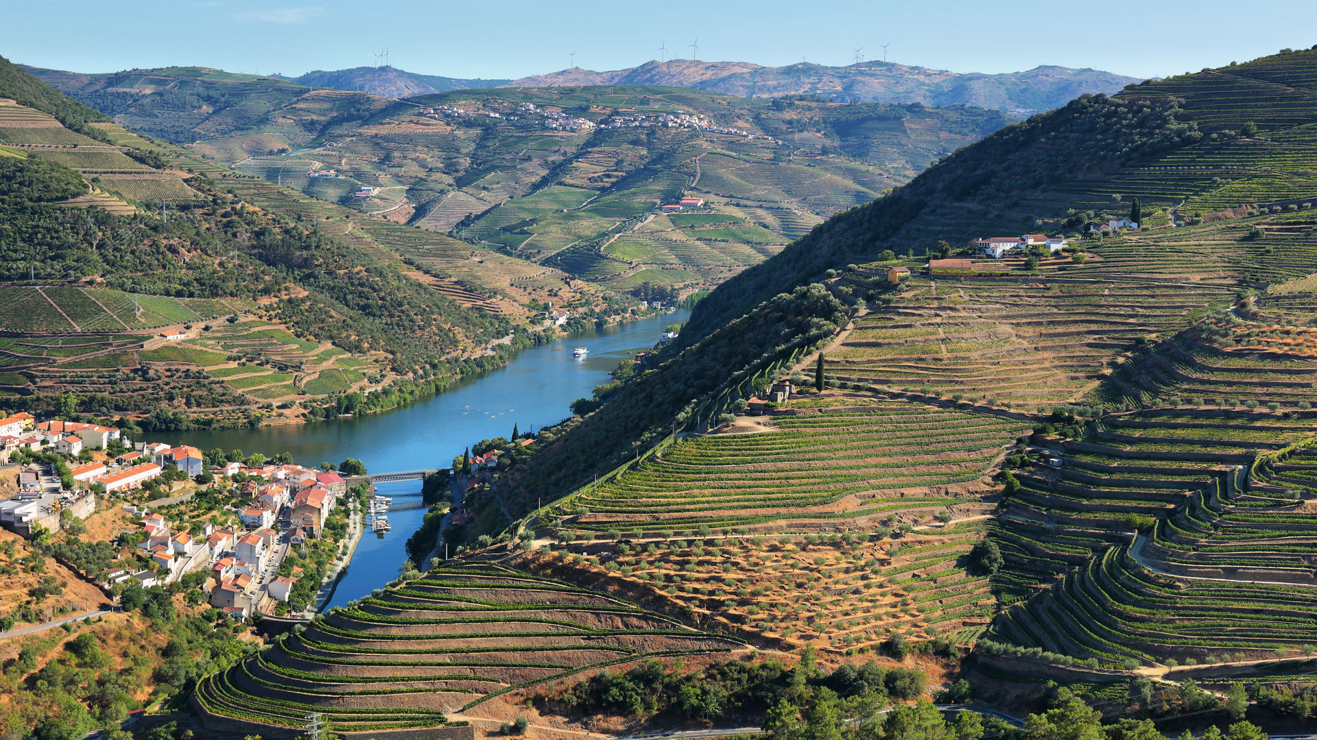 Douro Valley (day trip from Porto)