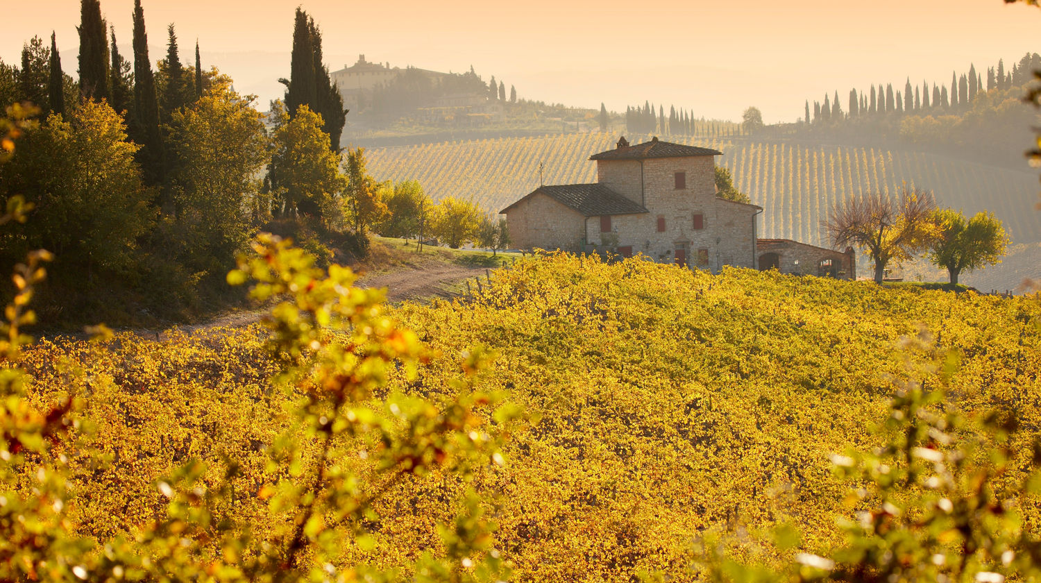 A Taste of Tuscany – Chianti Day Trip (Optional)