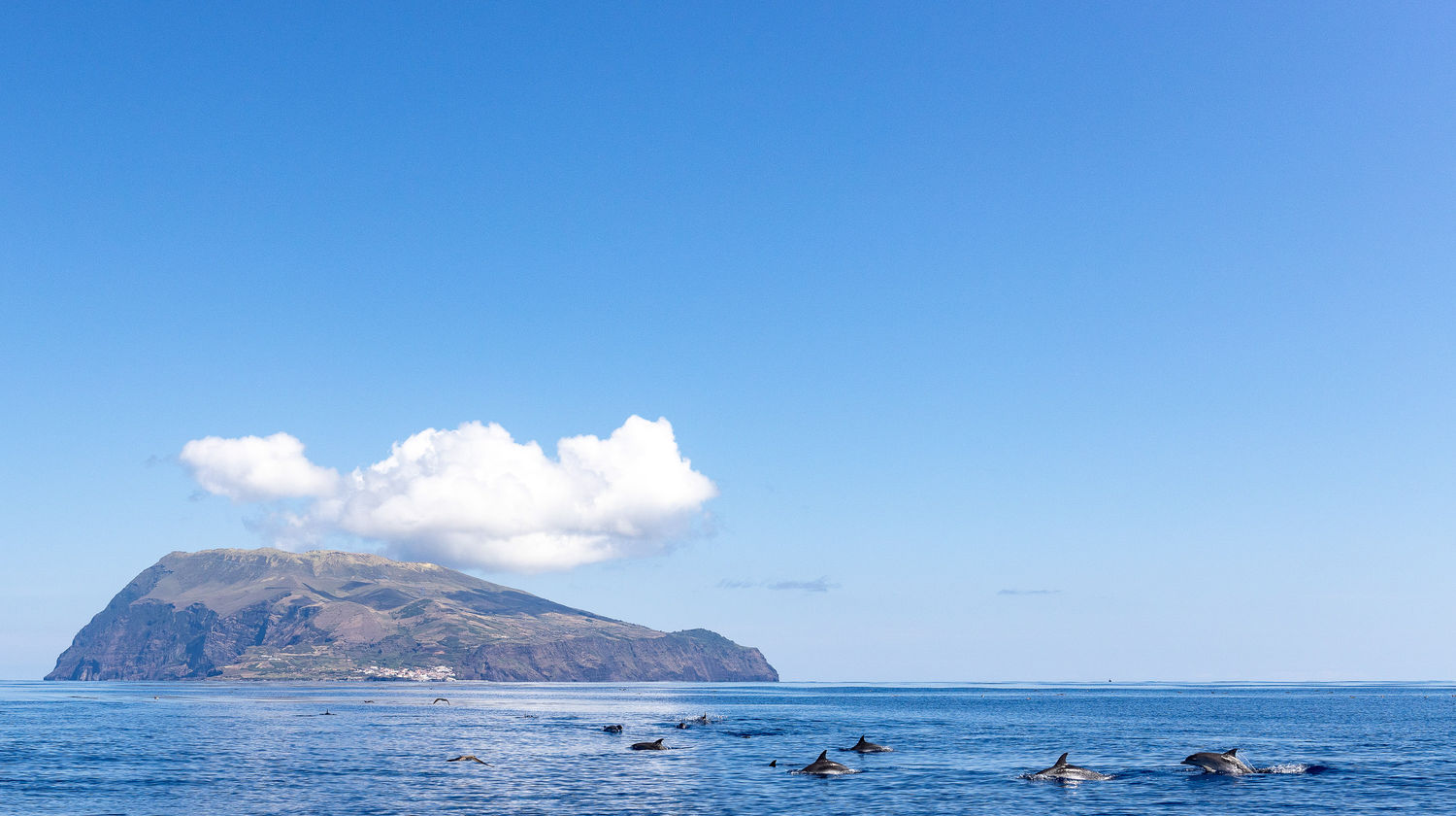 <b>Boat Trip to Corvo & Visit to the Caldeirão (Included)</b>