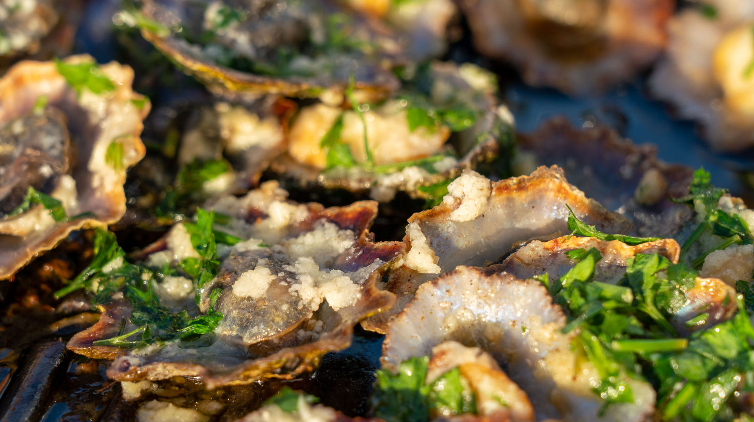 Limpets, Madeira Island