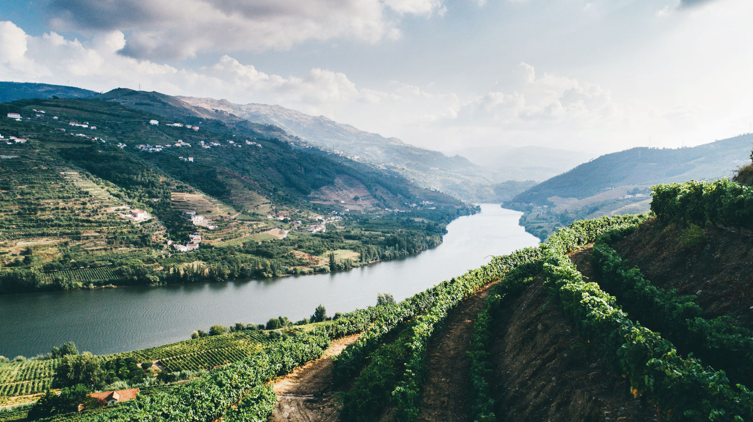 Arrival in Porto & Private Transfer to Douro