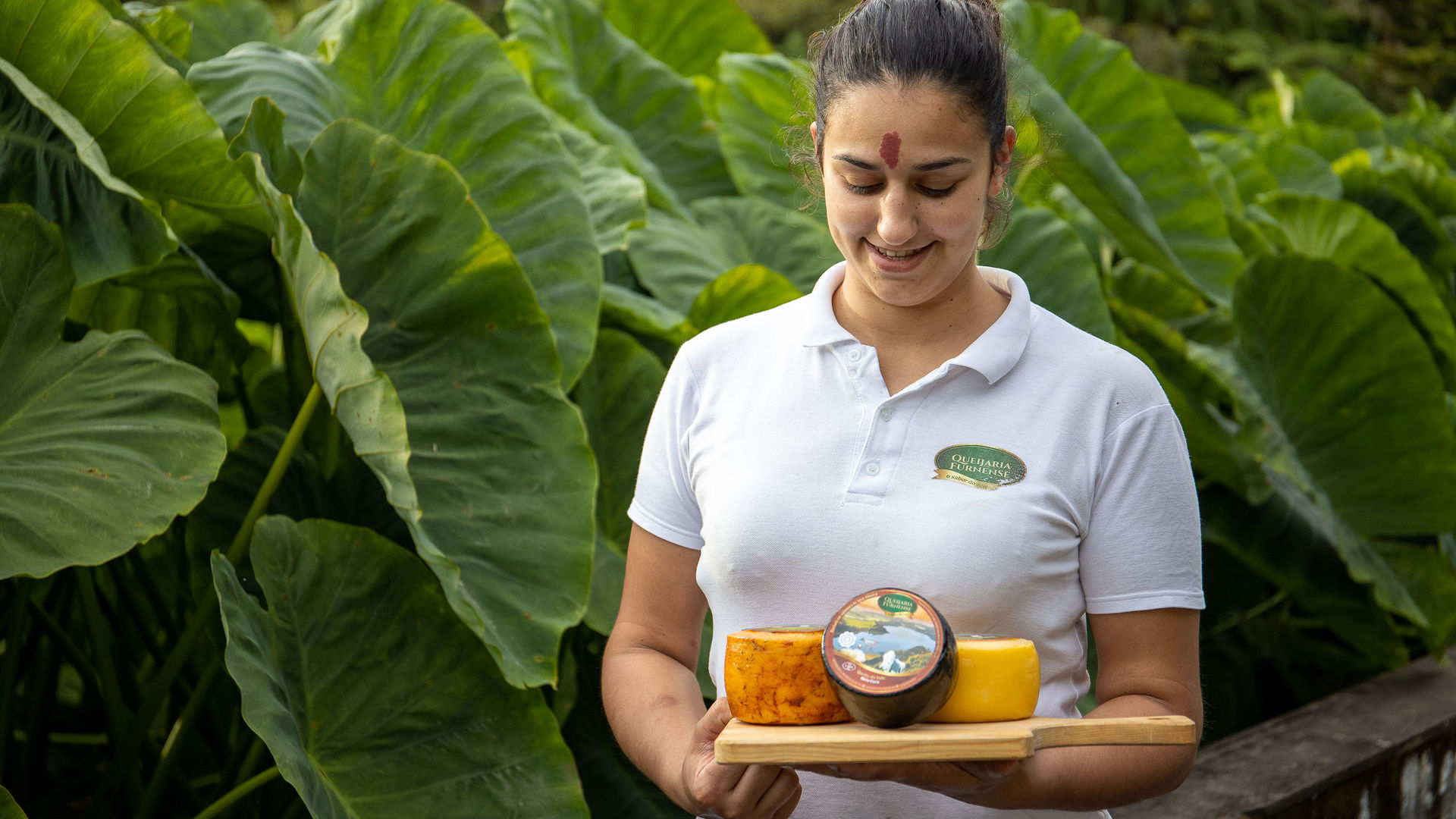 Traditional Queijaria Furnense, Furnas, São Miguel Island, the Azores