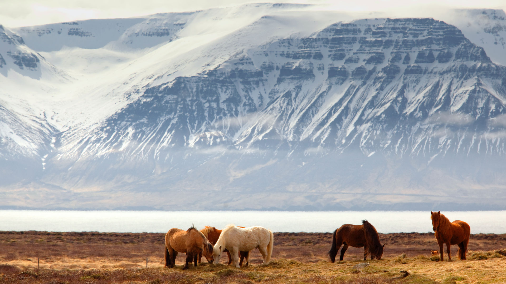 Iceland