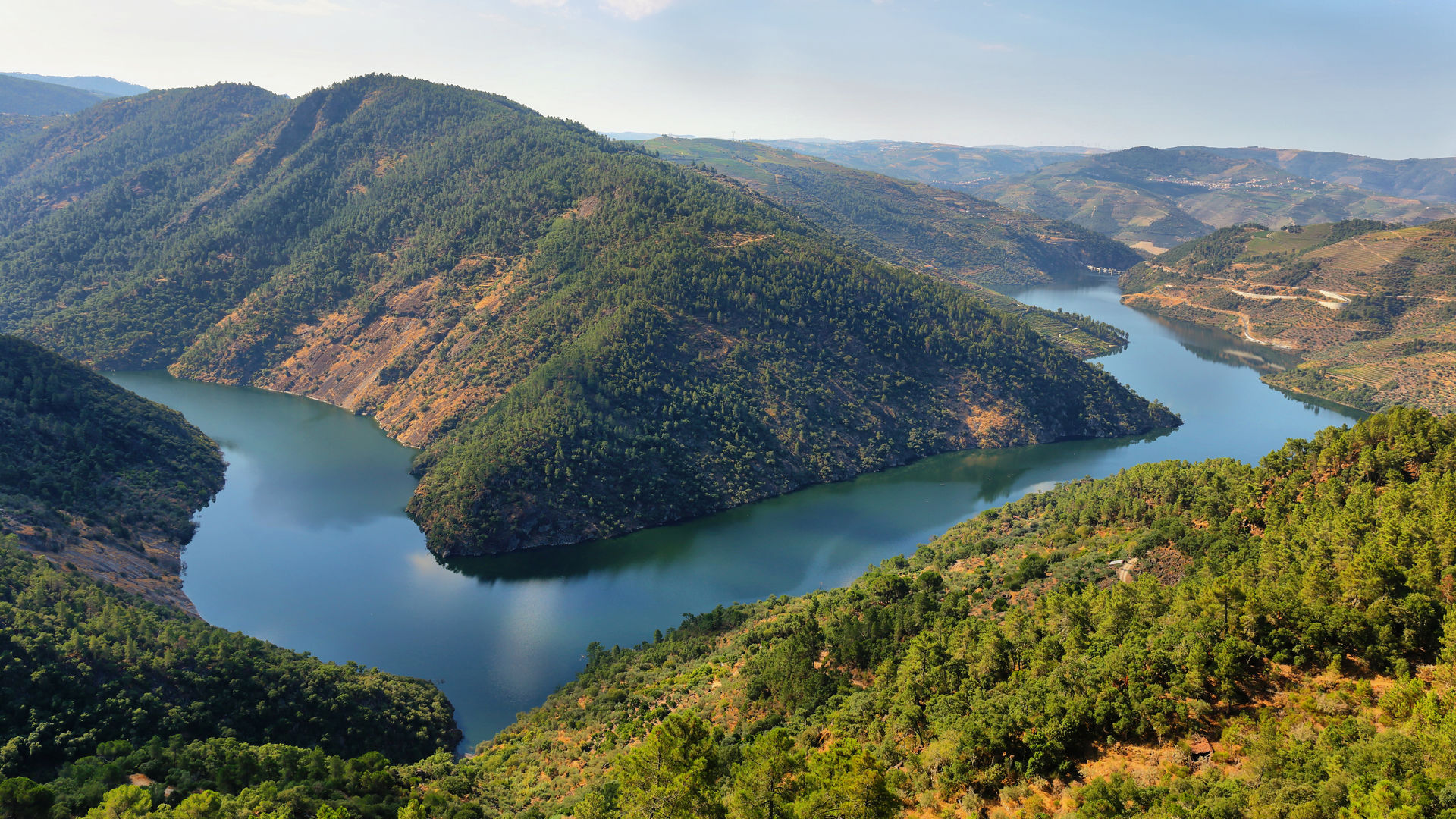 Douro Valley (near Porto, Portugal)