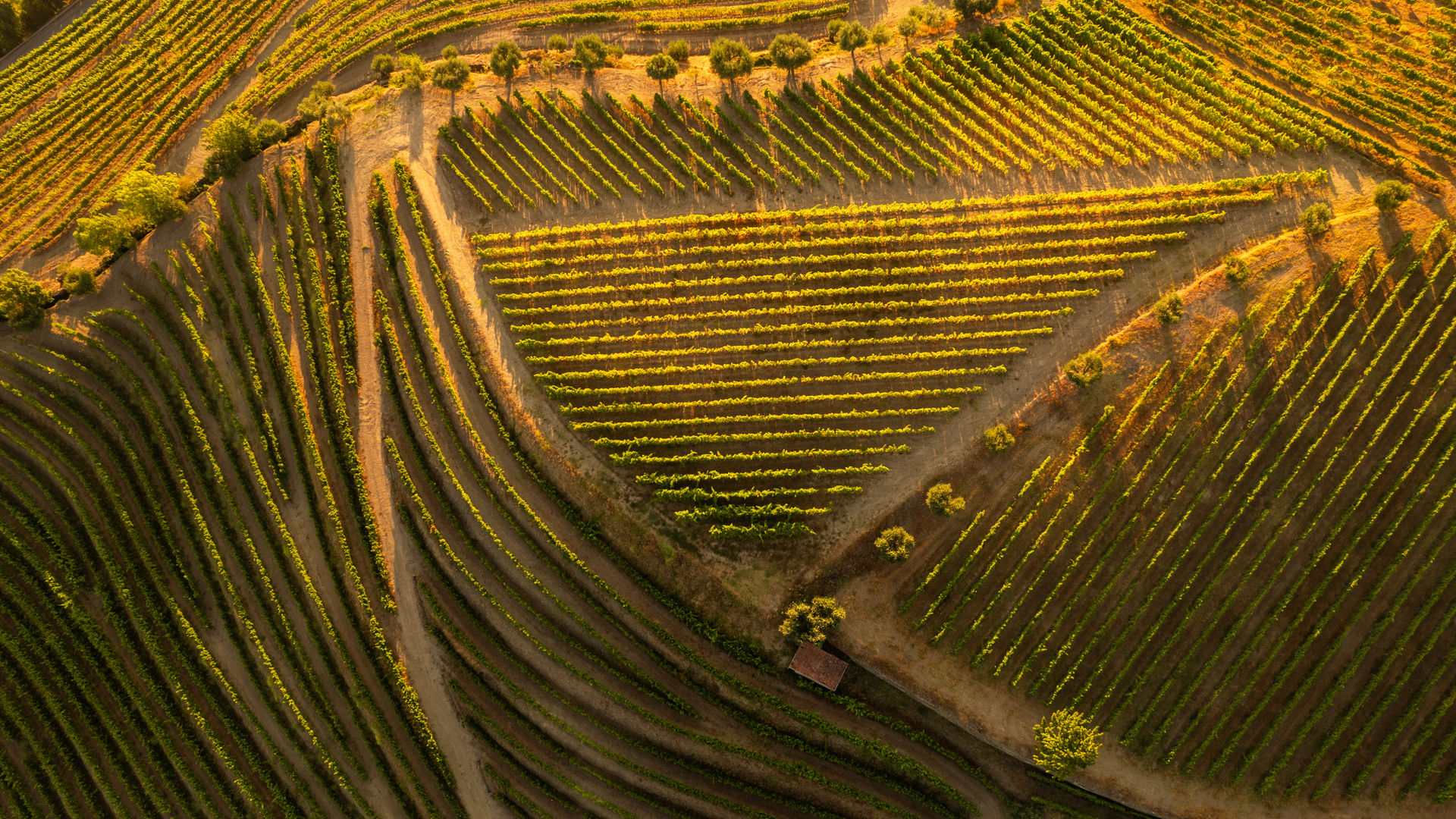 Douro Valley (near Porto, Portugal)
