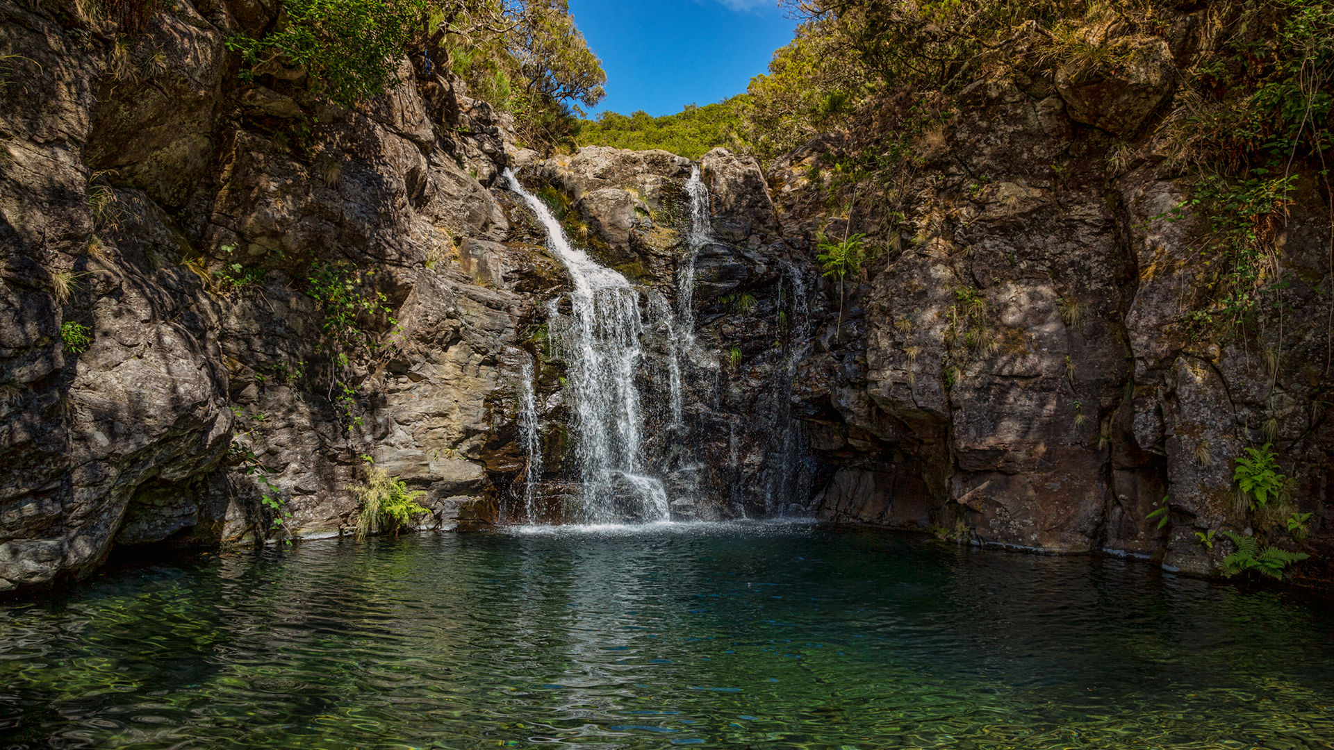 Madeira Island