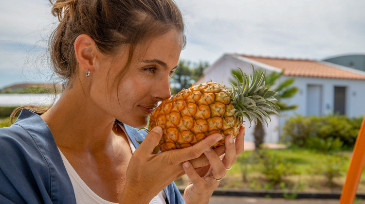 Pineapple of the Azores, São Miguel Island