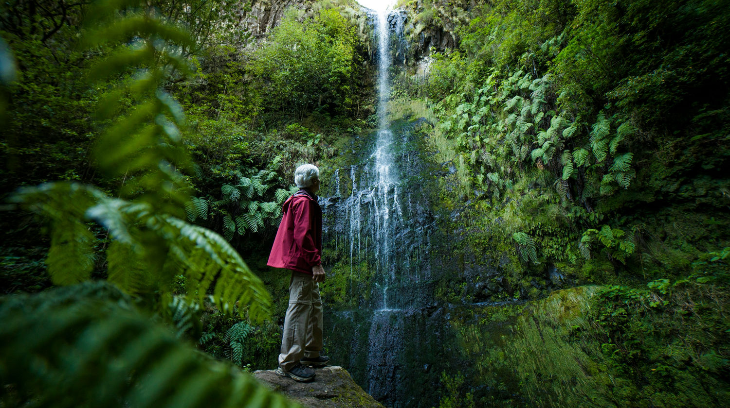 Free Day in Madeira Island