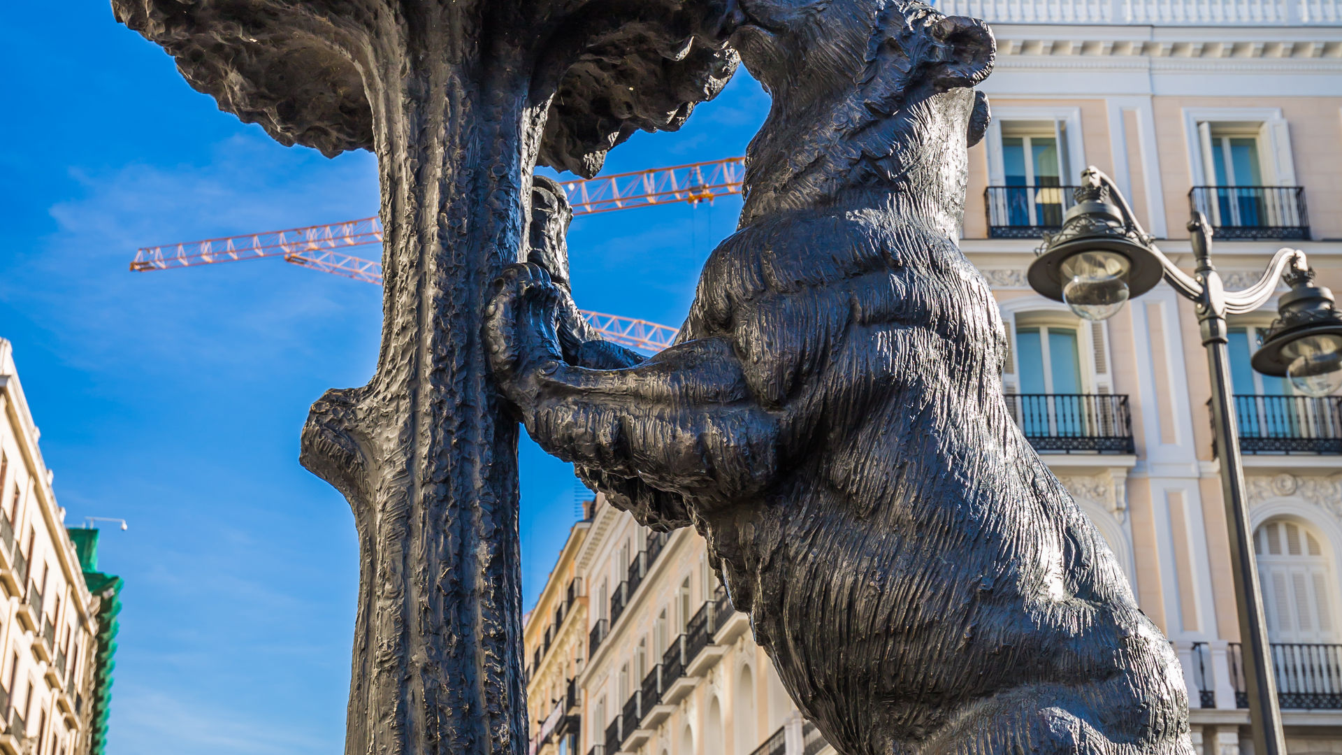 Statue of the Bear and the Strawberry Tree, Madrid