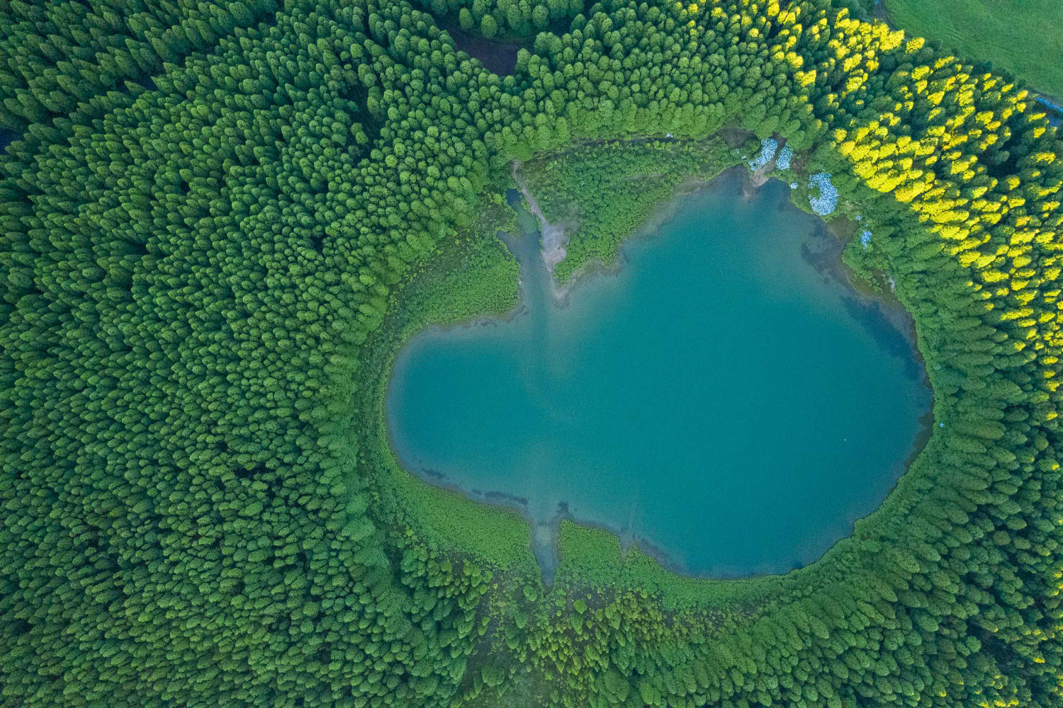 Lagoa do Canário, Ilha de São Miguel, Açores, Portugal