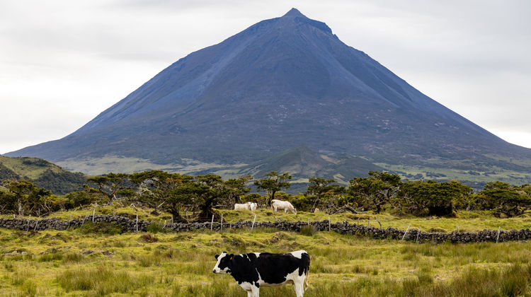 Pico Mountain, Pico