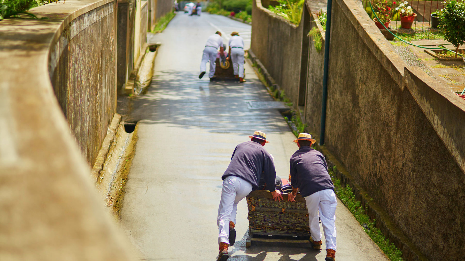 Madeira Island