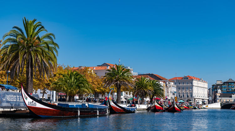 Moliceiro boats, Aveiro