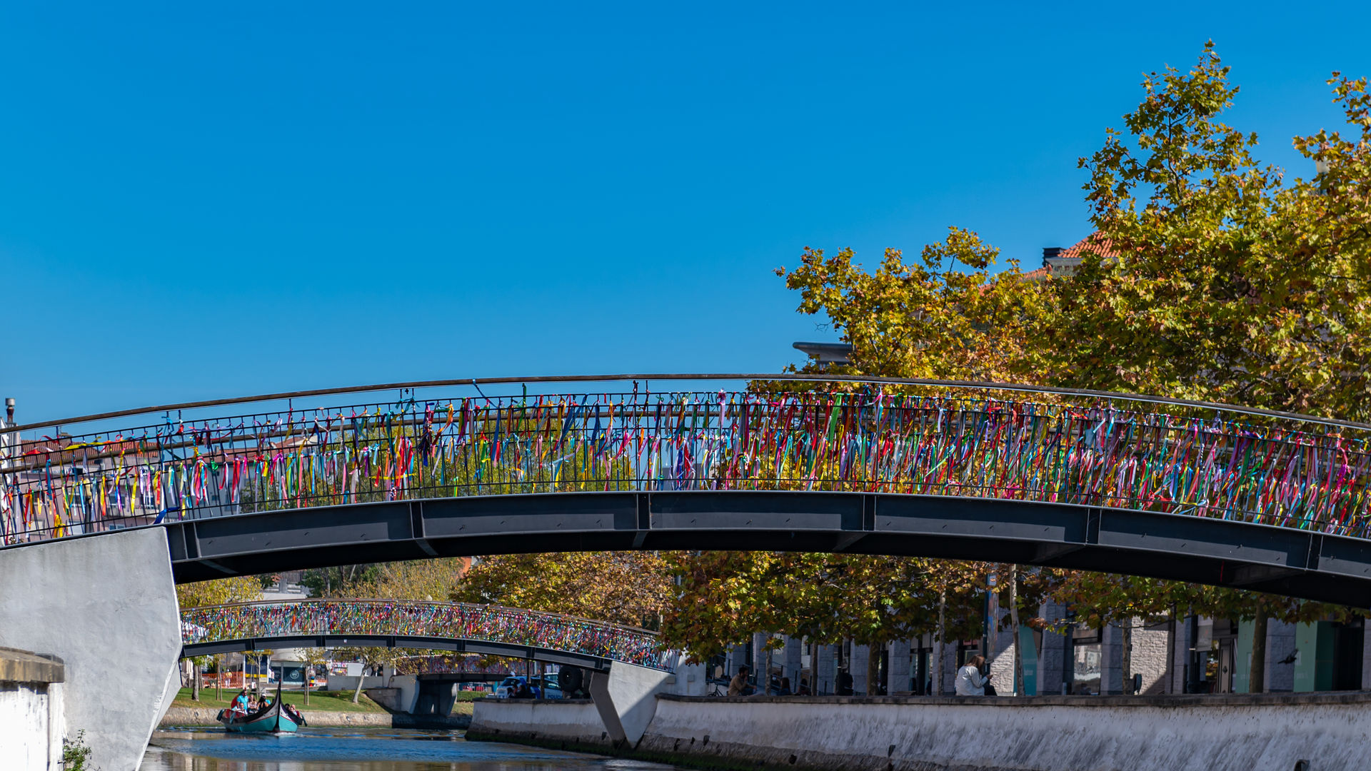Famous Friendship Ties Bridge, Aveiro