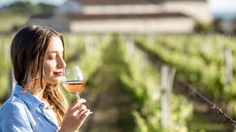Portuguese Rosé Wine