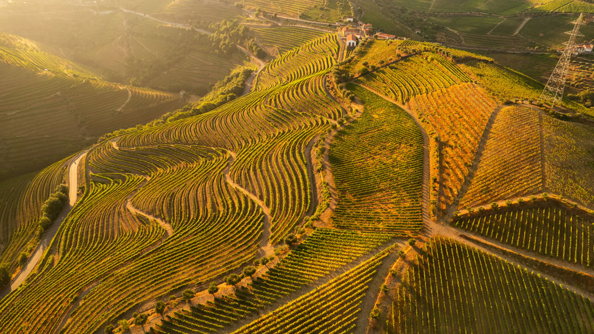 Douro Wine Region (120 km / 75 mi, 1.5h drive)