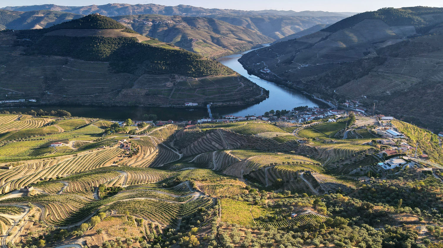 Vineyards and Douro River