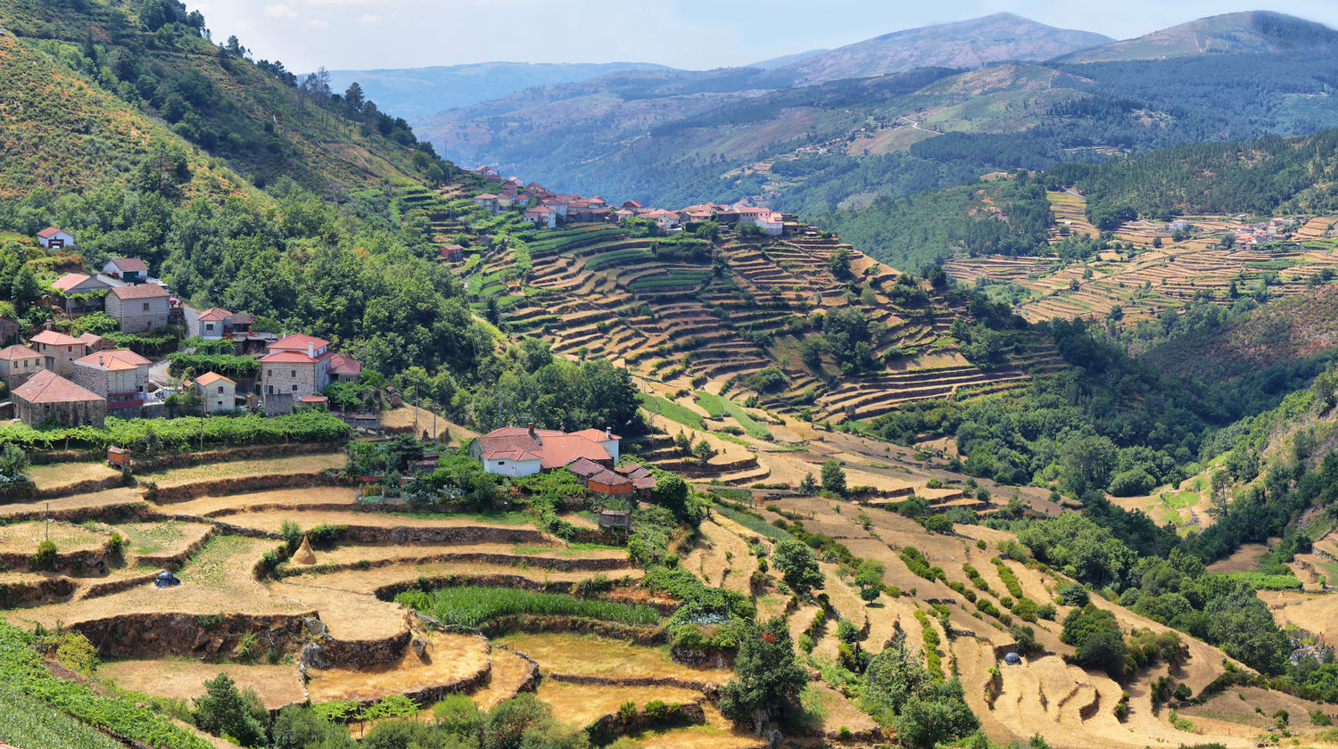 Gerês Houses