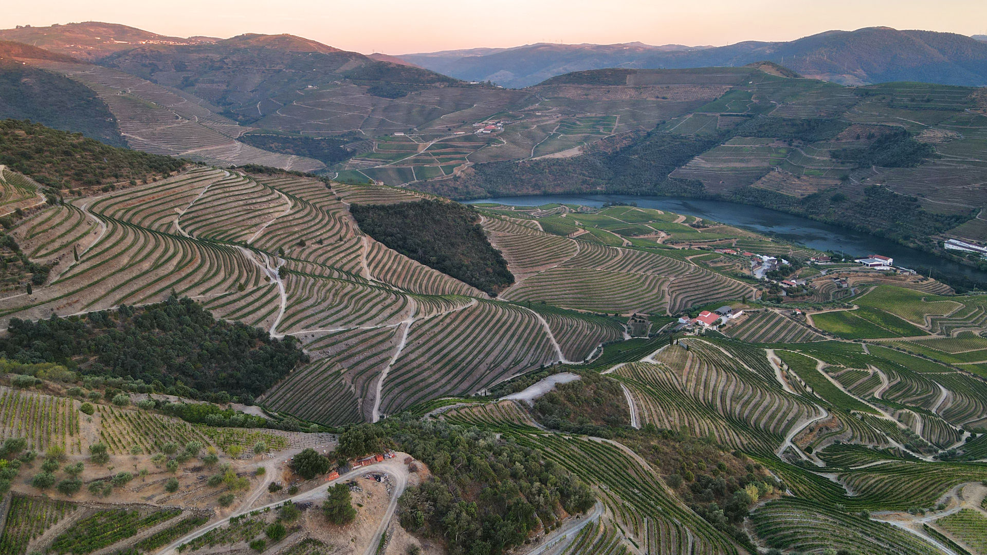 Vineyards and Douro River