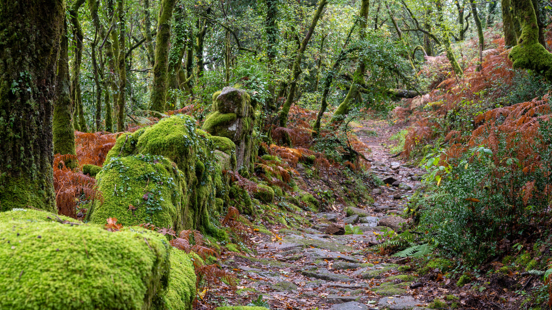 Peneda Gerês National Park