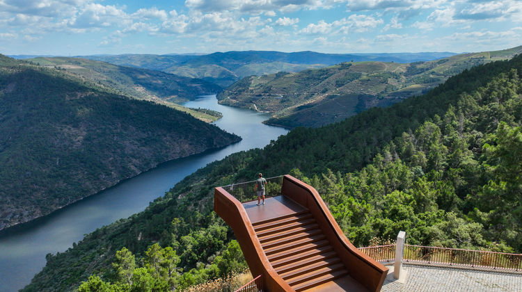 Person standing at a modern viewpoint overlooking the Douro River winding through terraced vineyards in the Douro Valley, northern Portugal.