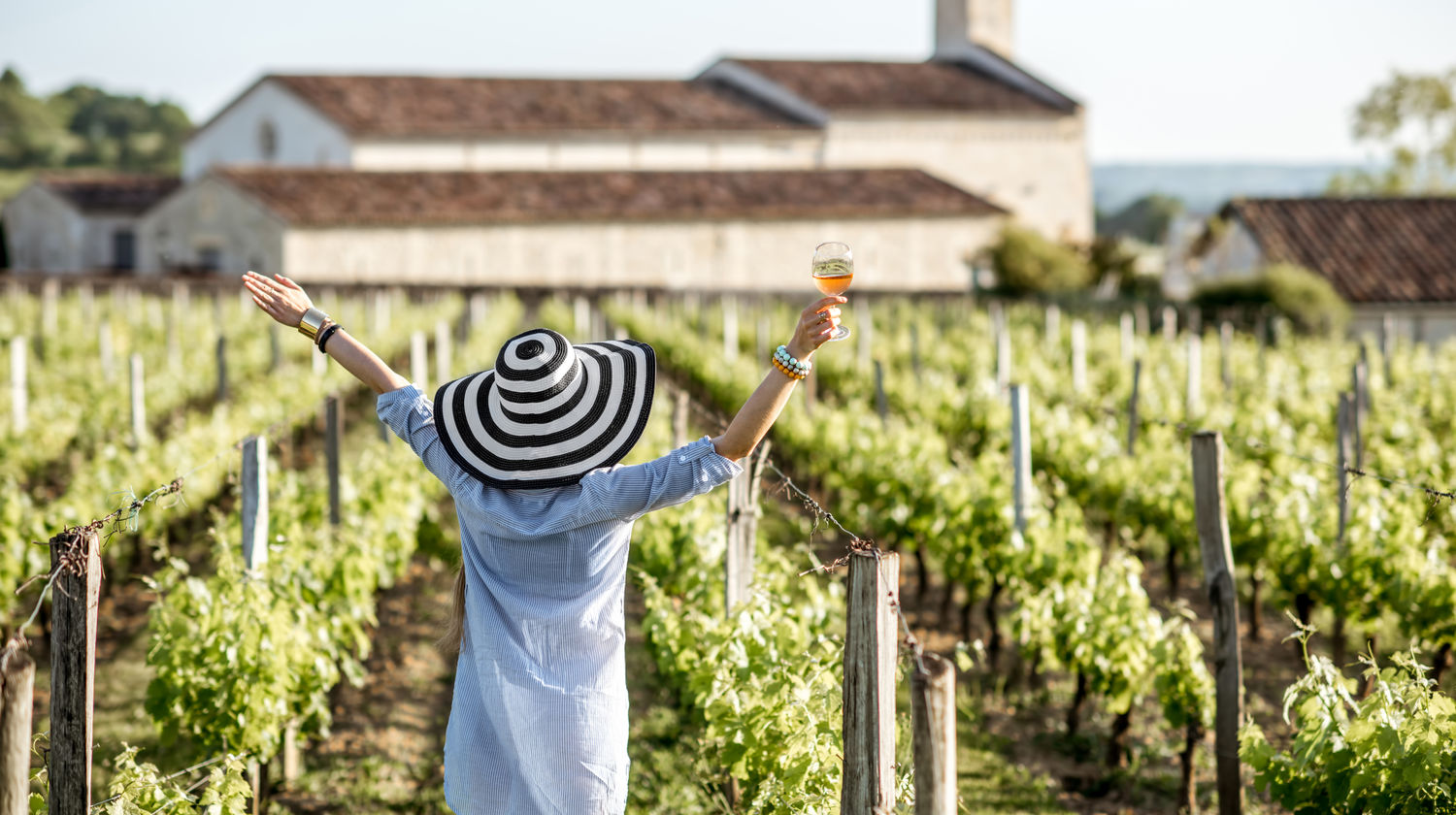 Vineyards in Portugal