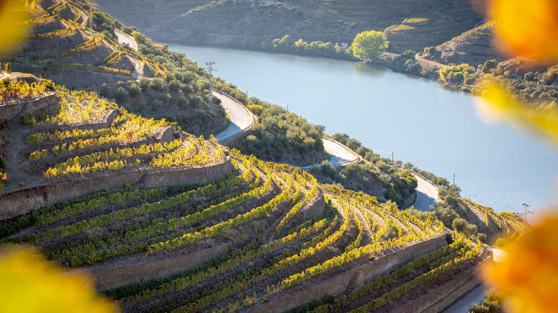 Vineyards along the Douro Valley (day trip included in this package)