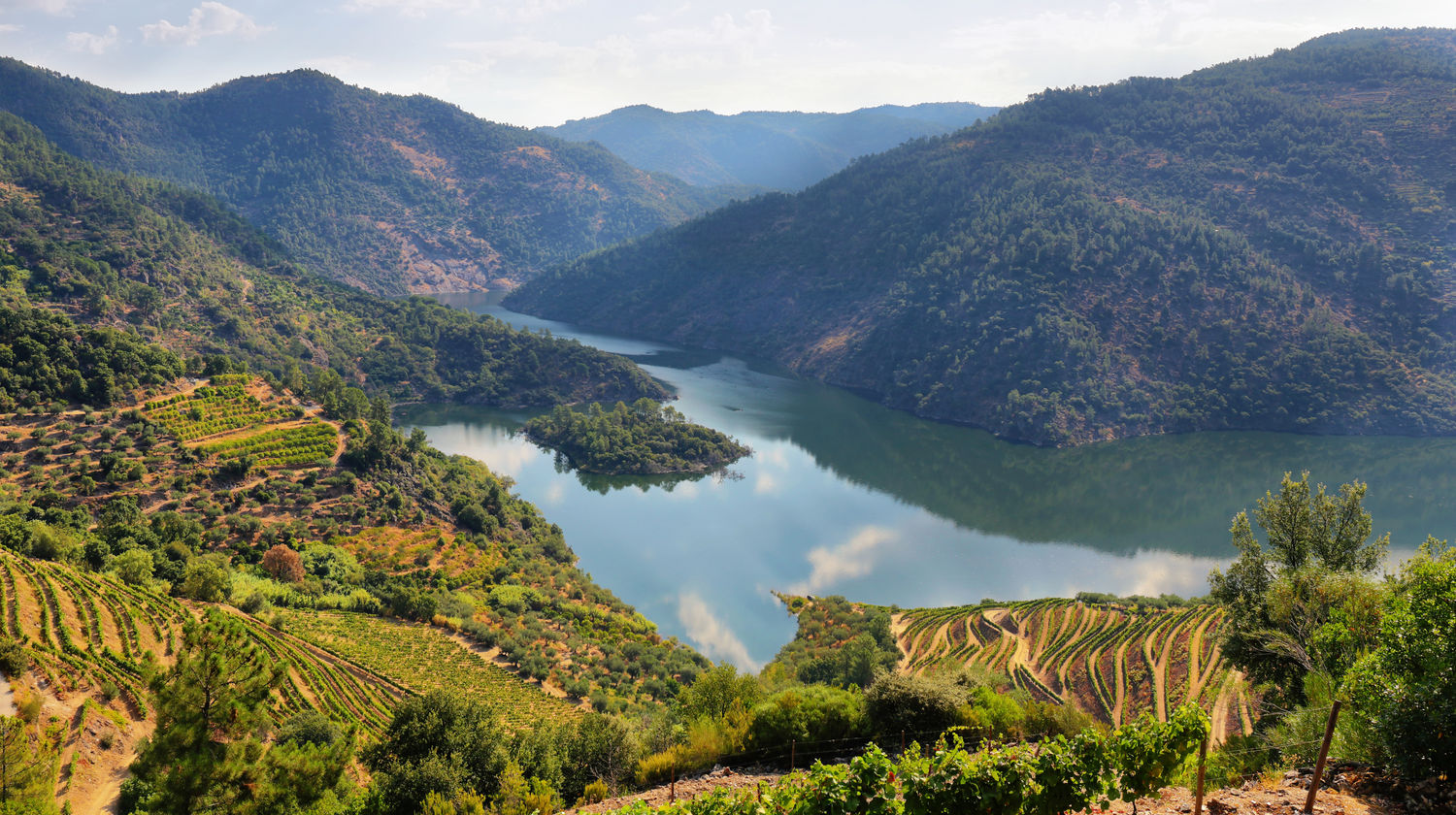 Douro Valley Wine Region