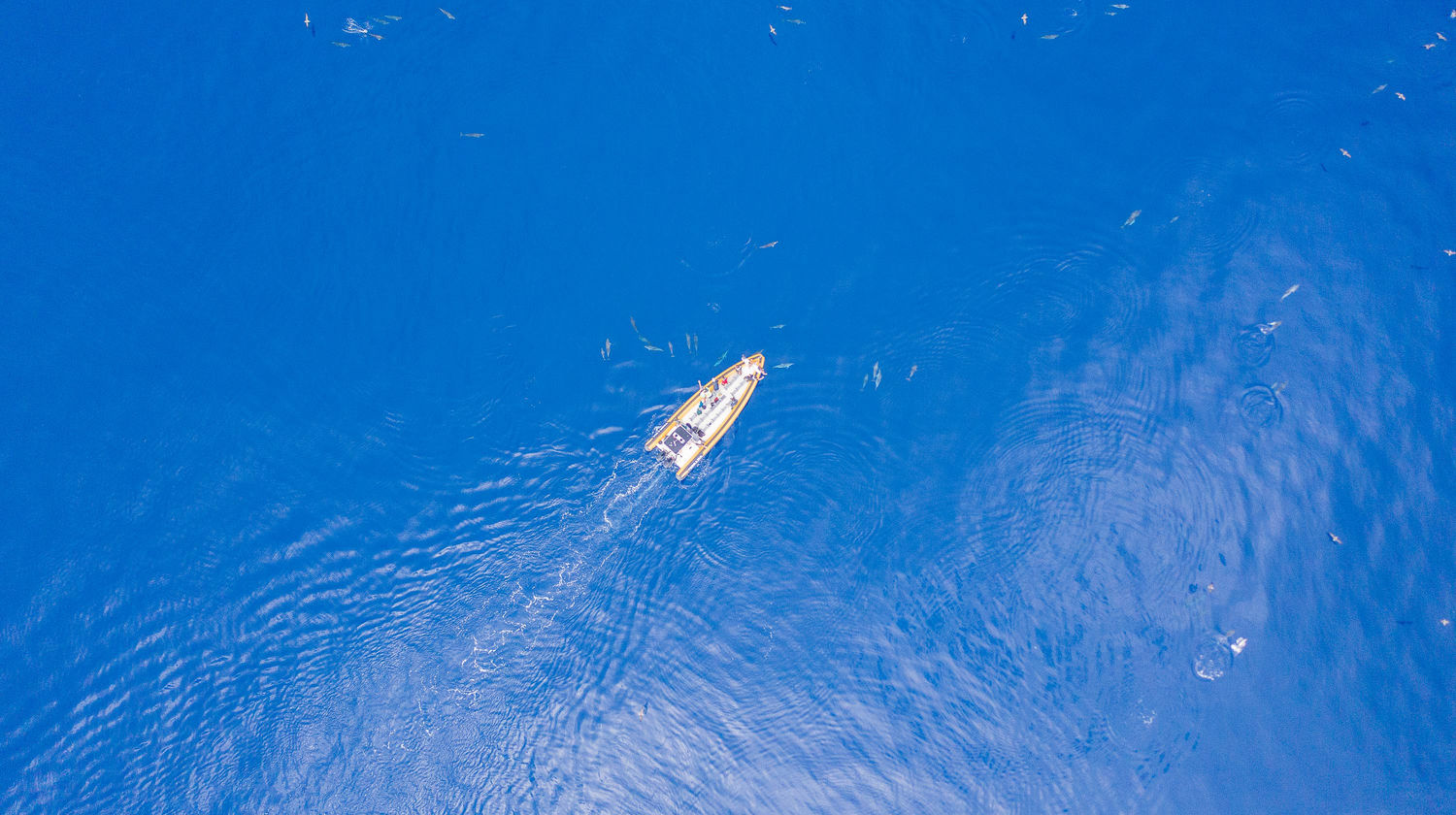 <b>Whale Watching Half-Day Tour (Included)</b>