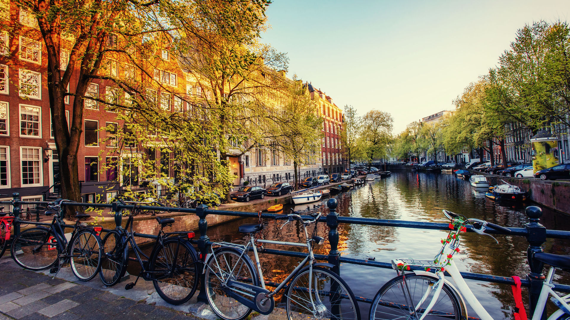 Canals in Amsterdam