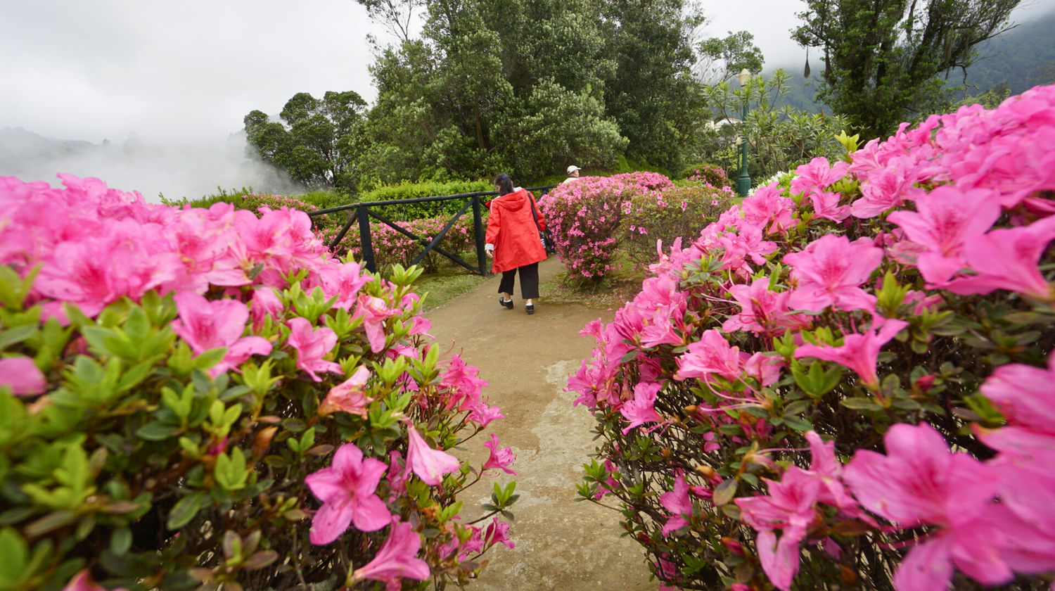 Saturday: Return Flight Home