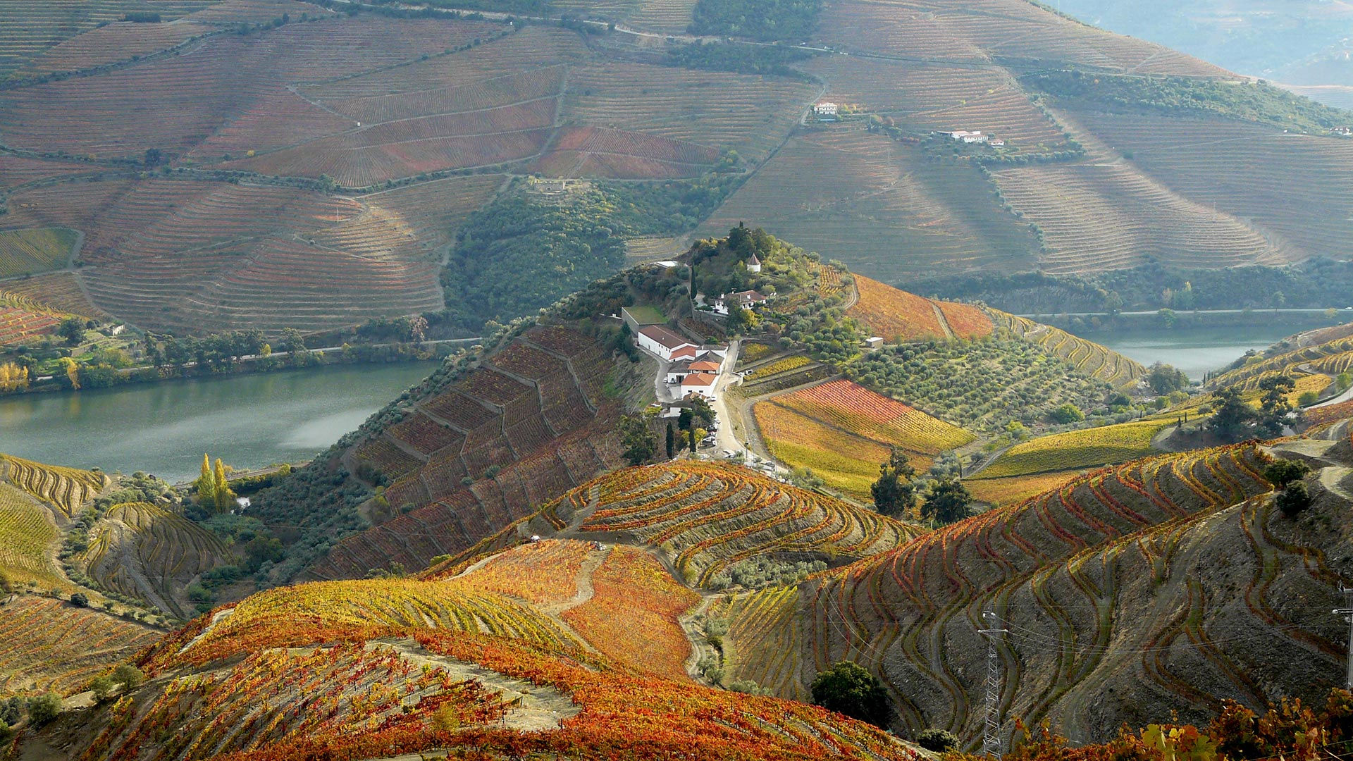 Quinta do Crasto (Lunch with Wine Tasting)