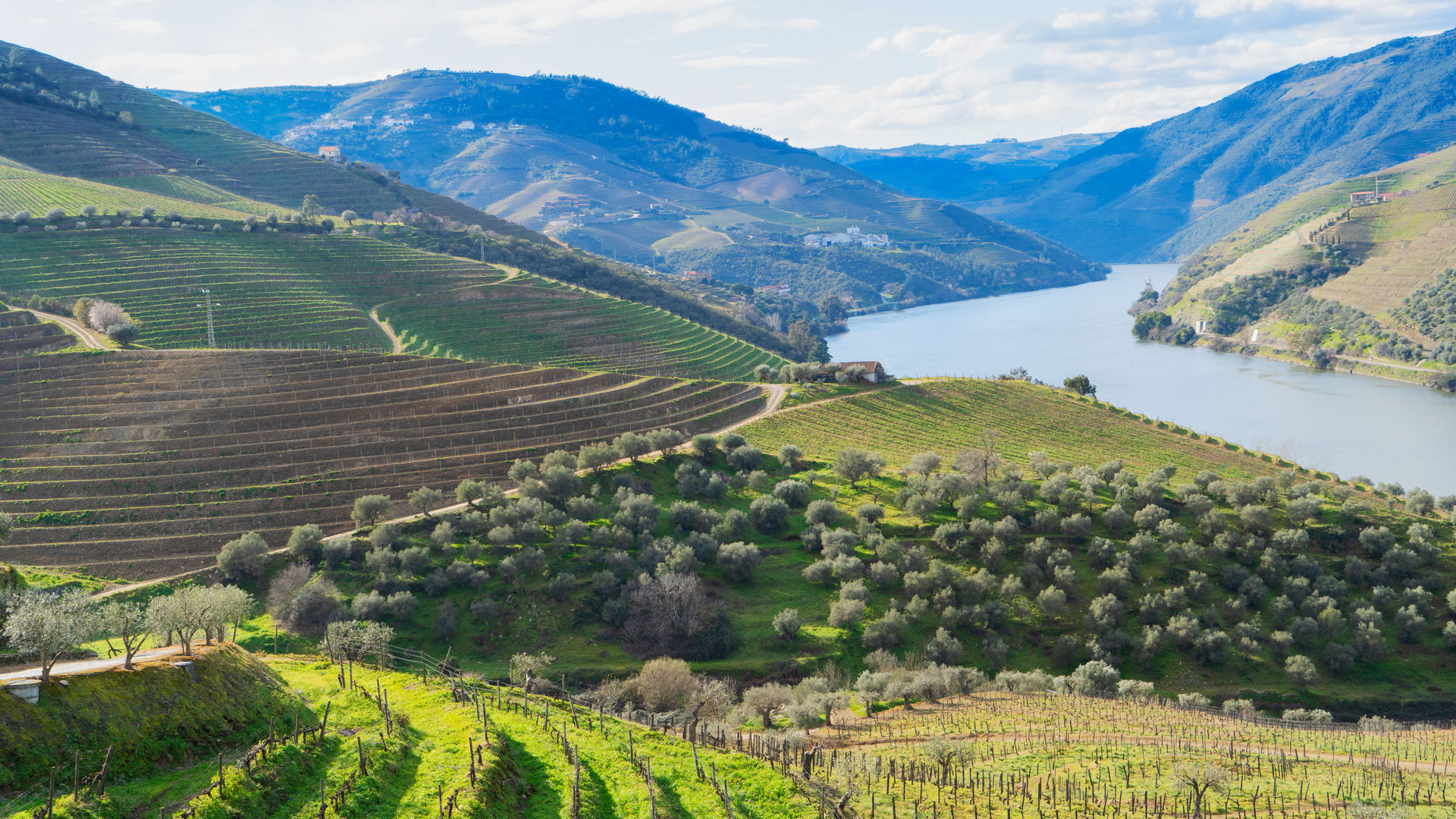 Douro River