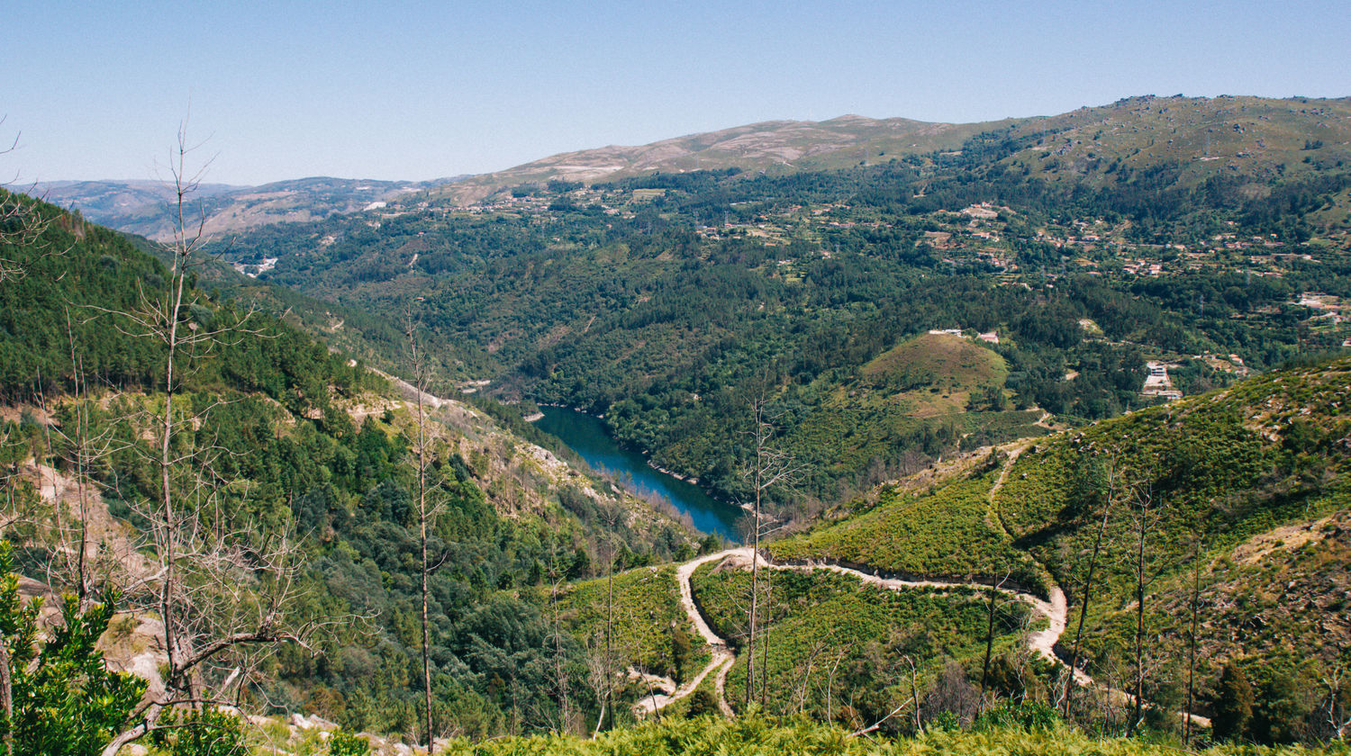 Douro Valley