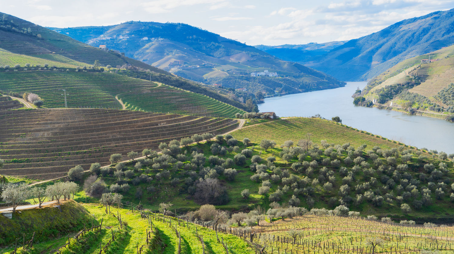 Douro Valley