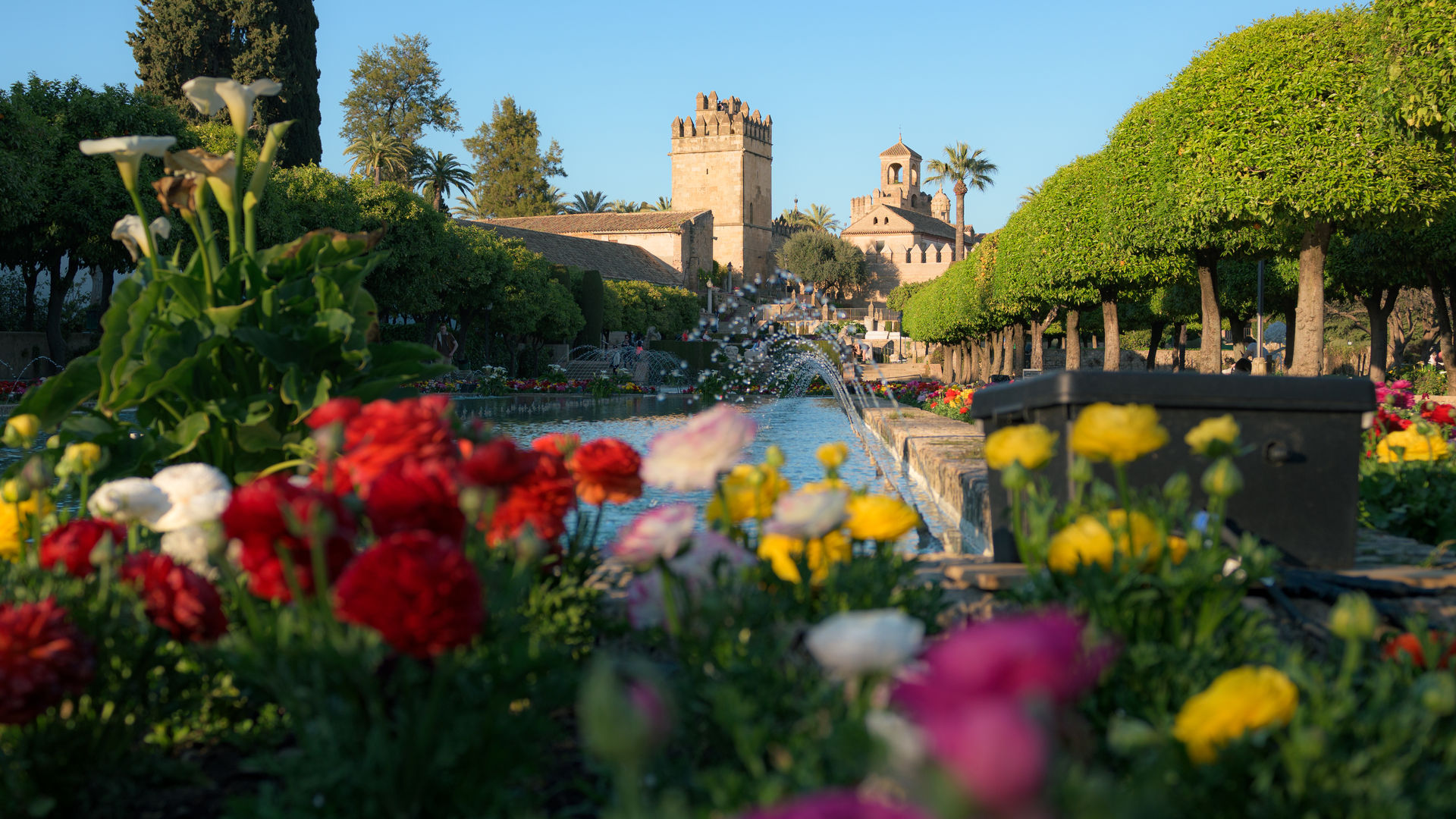 Garden of the Alcazar of Cordoba, Spain