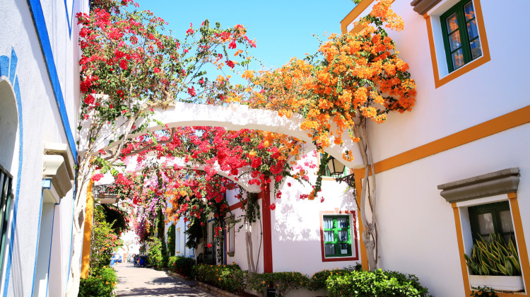 Gran Canaria
