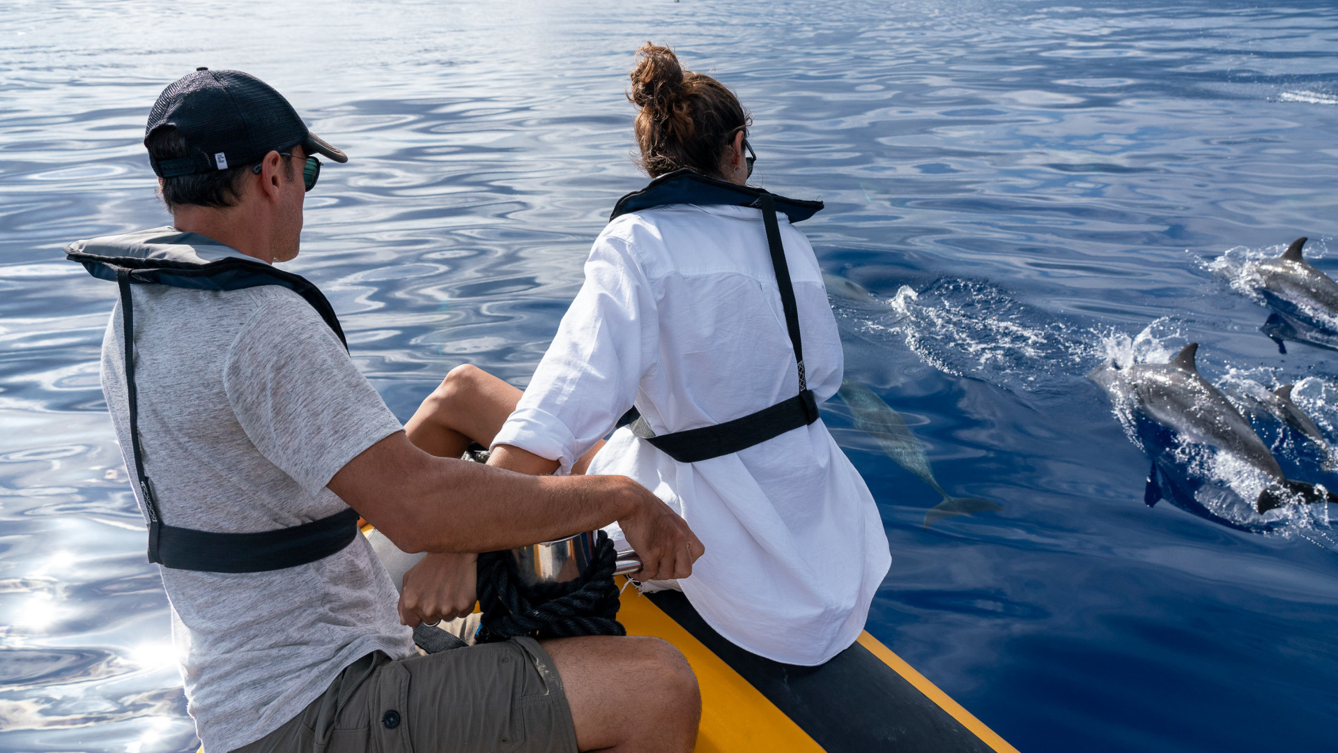 Whale Watching, São Miguel Island