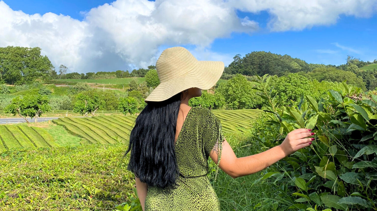 Tuesday: Return Flight Home