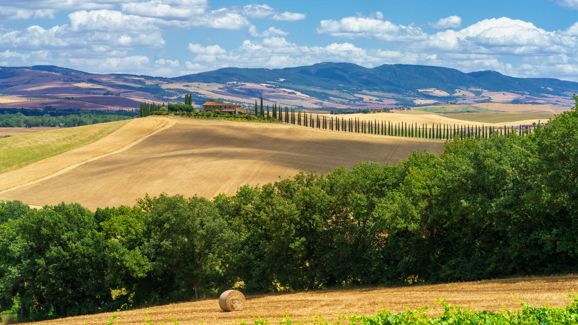 Siena, Tuscany, Italy
