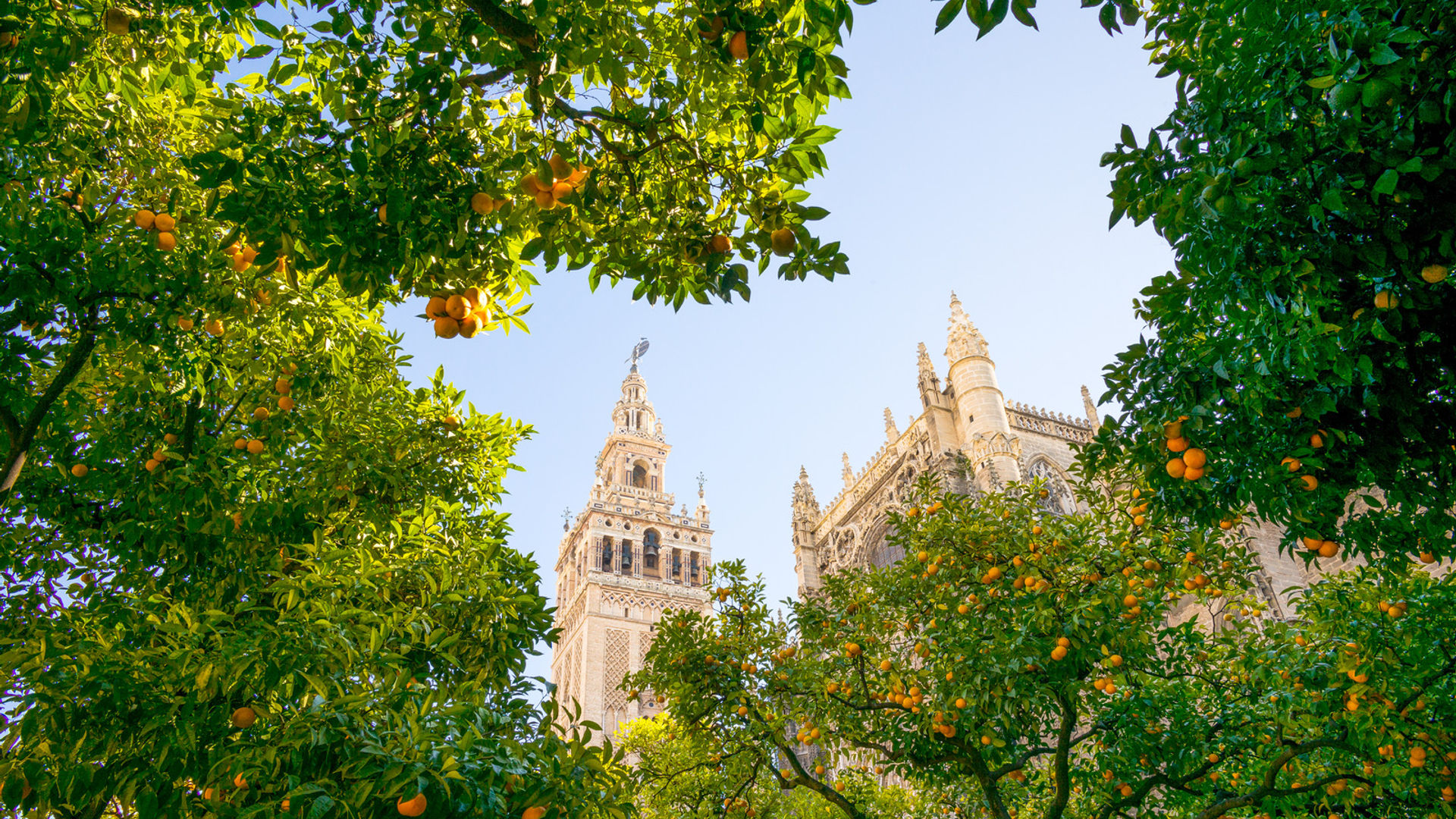 Seville