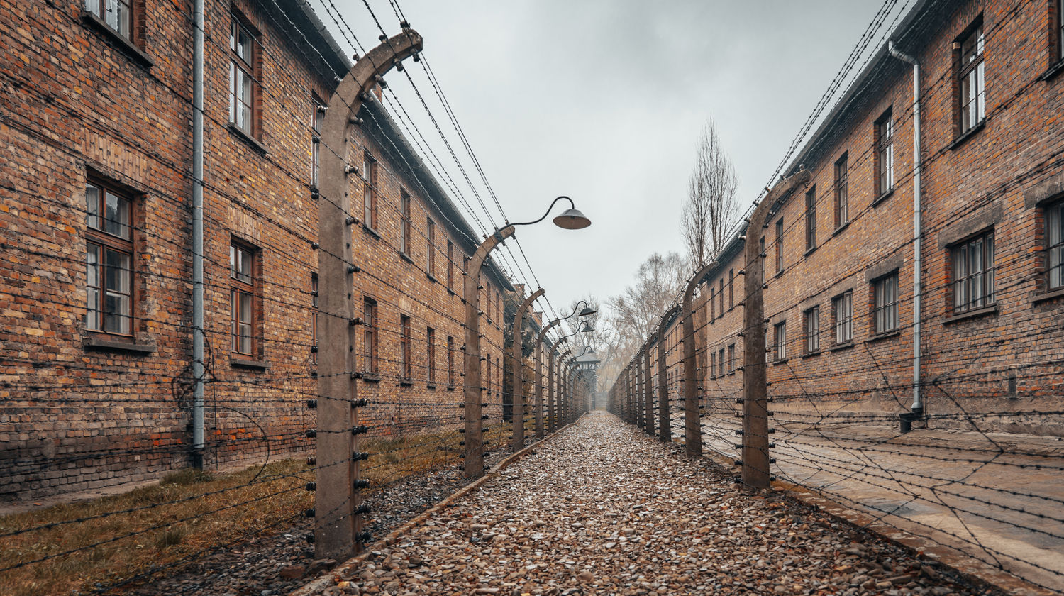 Kraków: Day trip to Auschwitz-Birkenau <b>(Included)</b>