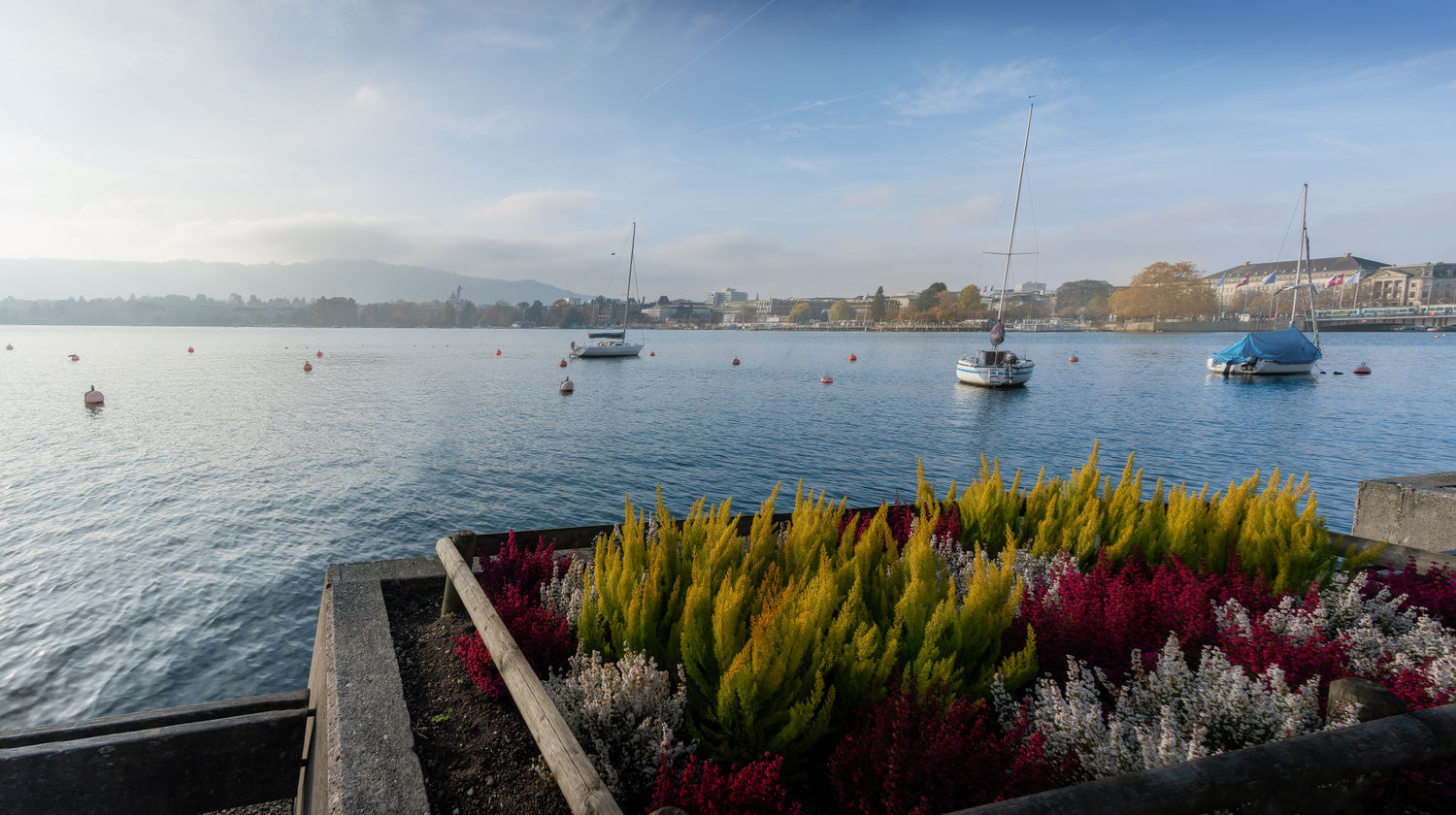 Lakeside Serenity & Swiss Heritage
