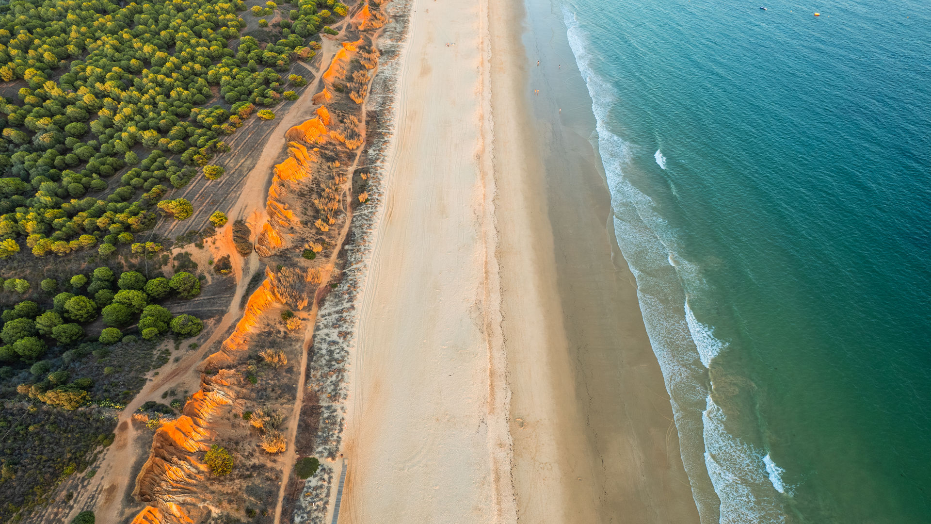 Praia da Falésia, Algarve